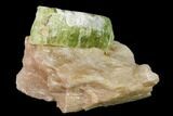 Yellow-Green Fluorapatite Crystal in Calcite - Ontario, Canada #137100-2
